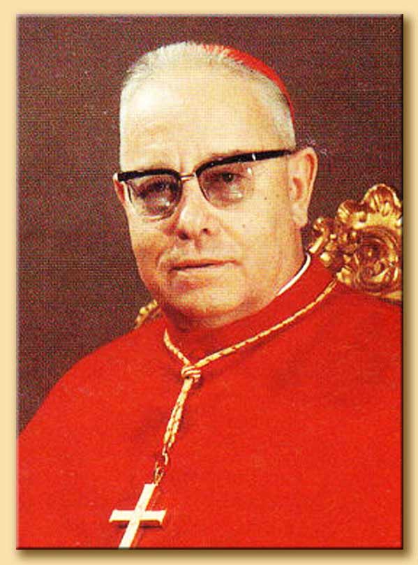 cardinal sergio guerri